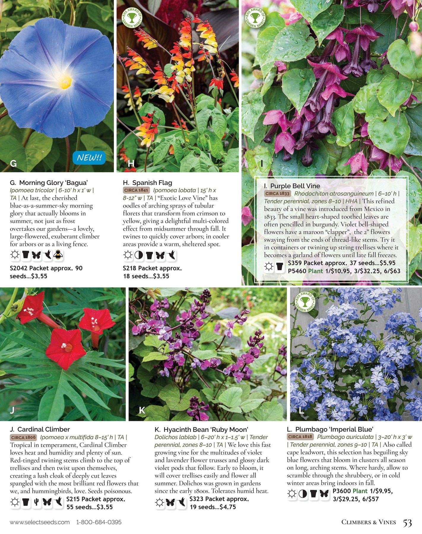 Select Seeds Annual Catalog Weekly Ad January 1 - December 31, 2026