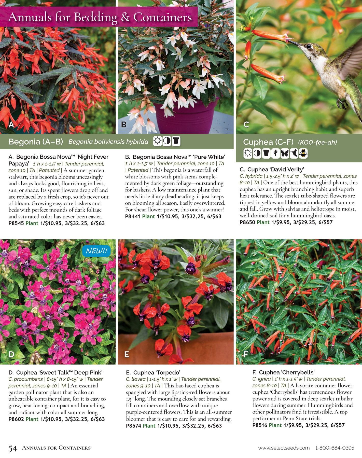 Select Seeds Annual Catalog Weekly Ad January 1 - December 31, 2026