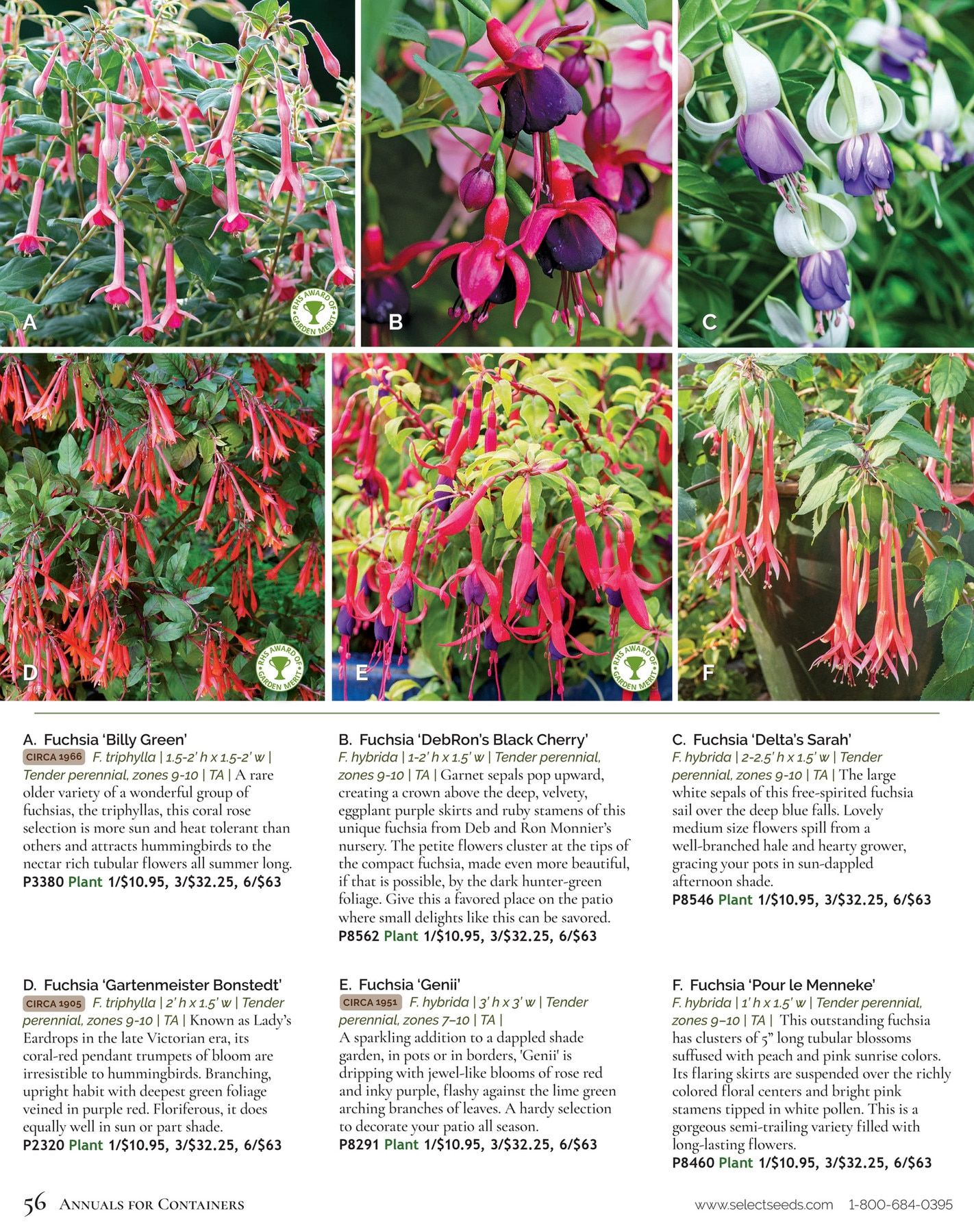 Select Seeds Annual Catalog Weekly Ad January 1 - December 31, 2026