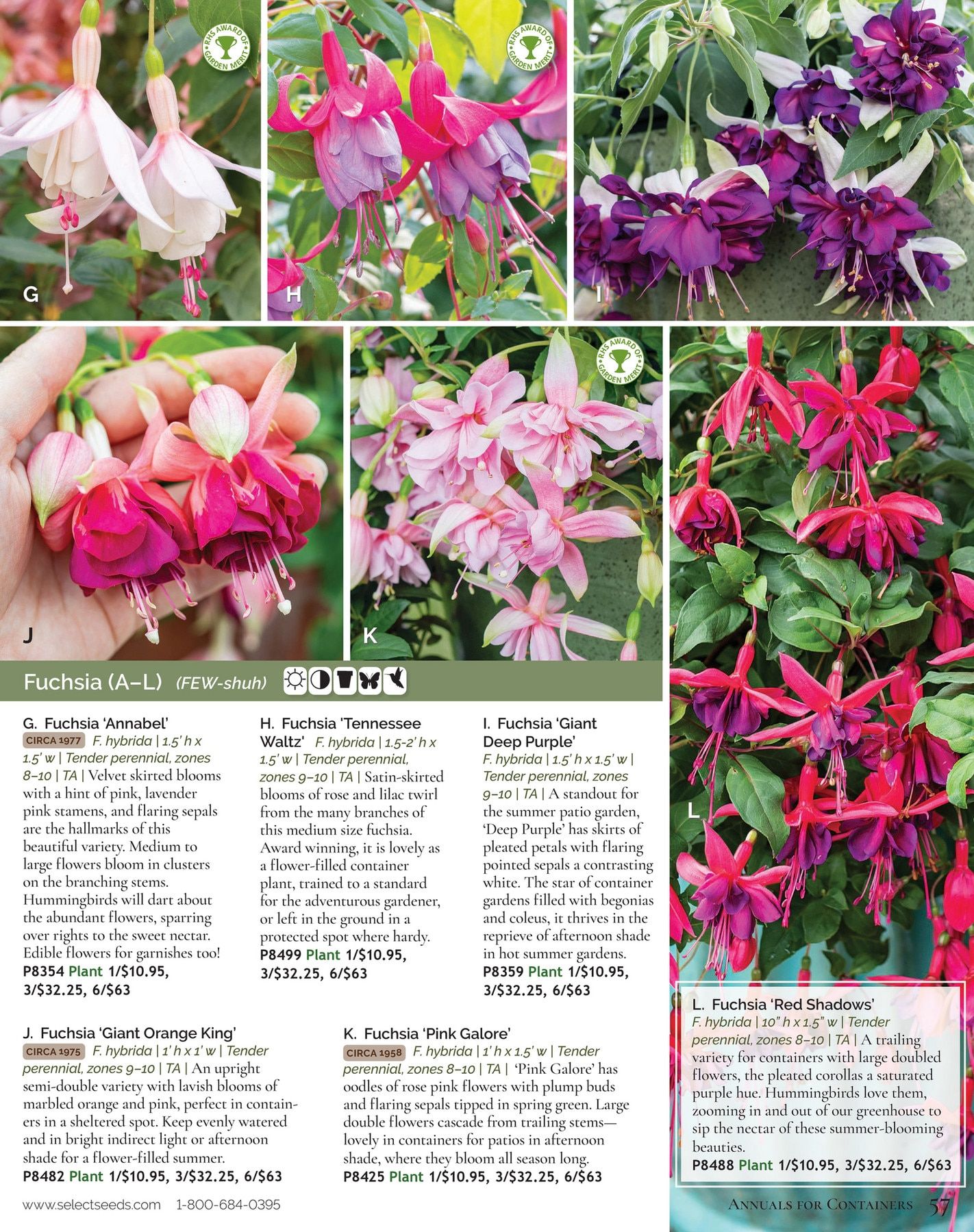Select Seeds Annual Catalog Weekly Ad January 1 - December 31, 2026