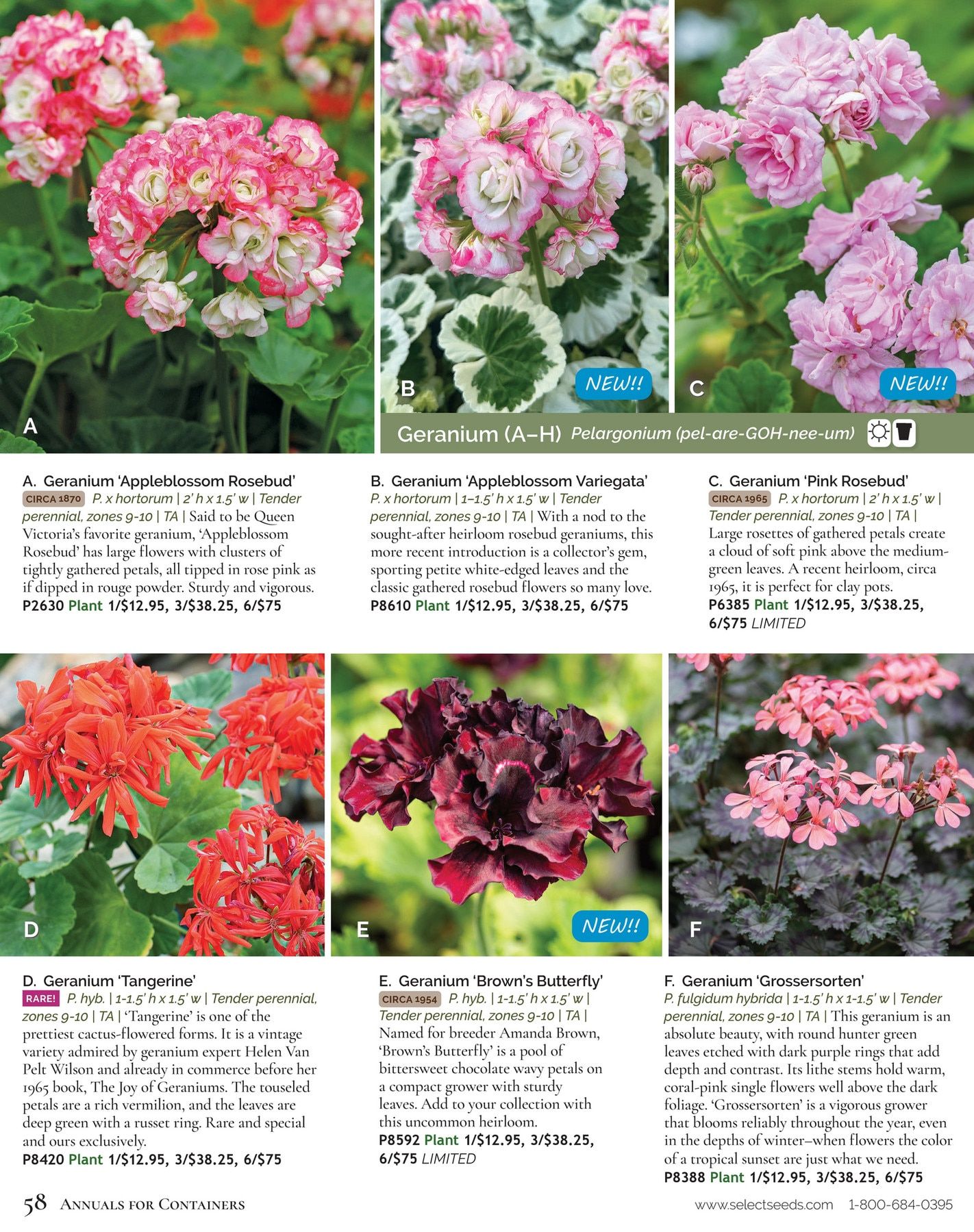 Select Seeds Annual Catalog Weekly Ad January 1 - December 31, 2026