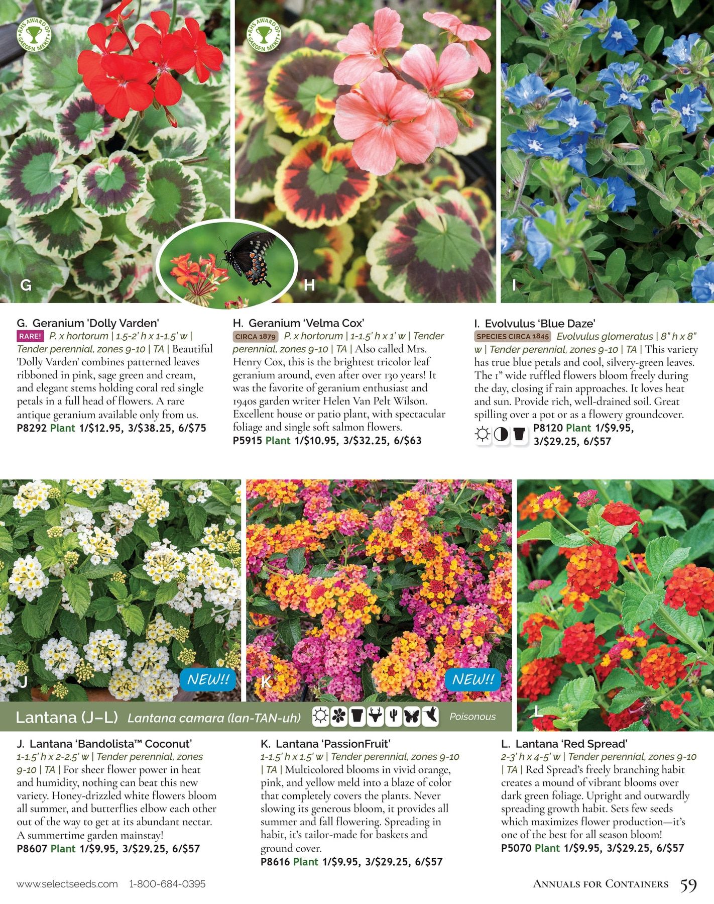 Select Seeds Annual Catalog Weekly Ad January 1 - December 31, 2026