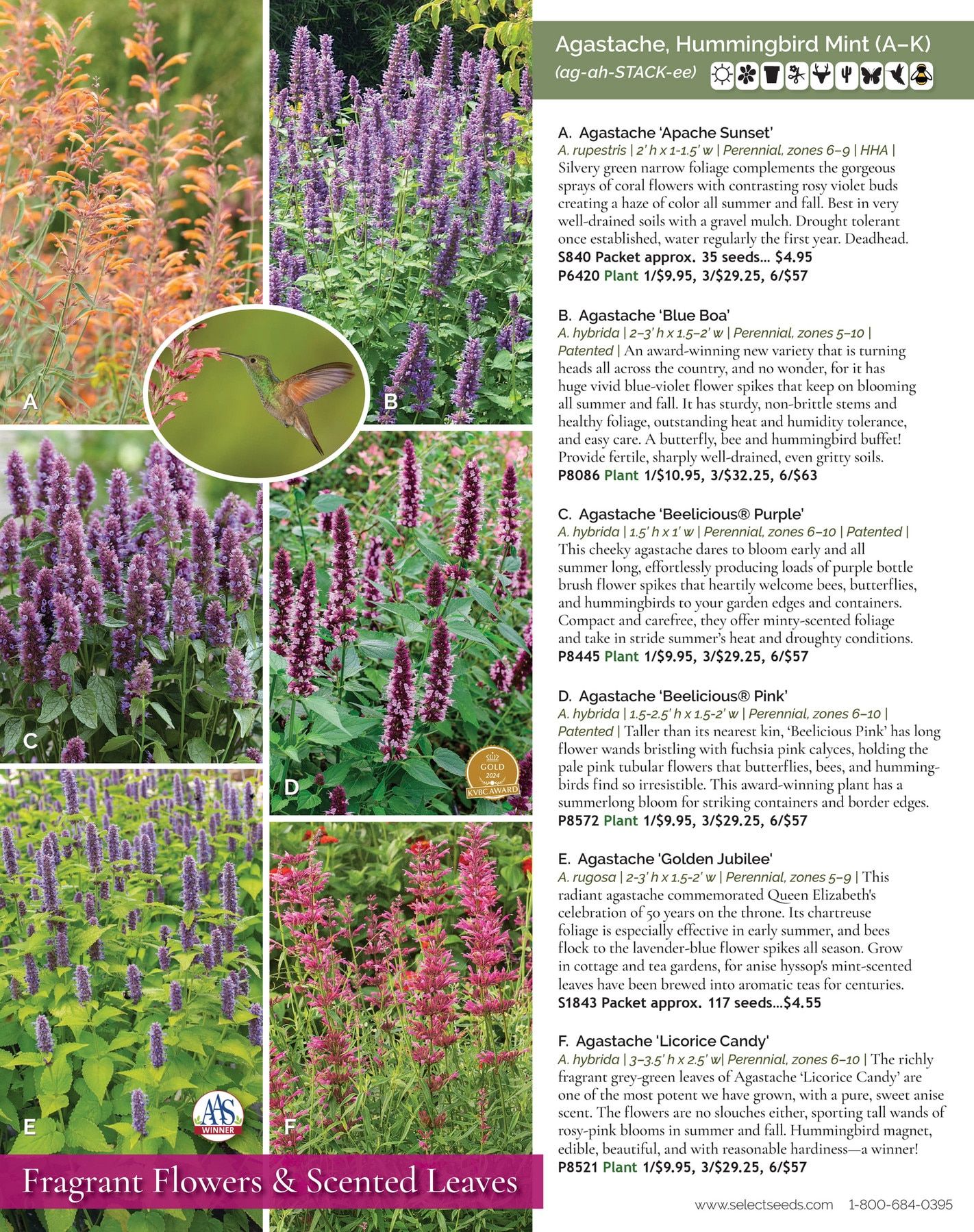 Select Seeds Annual Catalog Weekly Ad January 1 - December 31, 2026