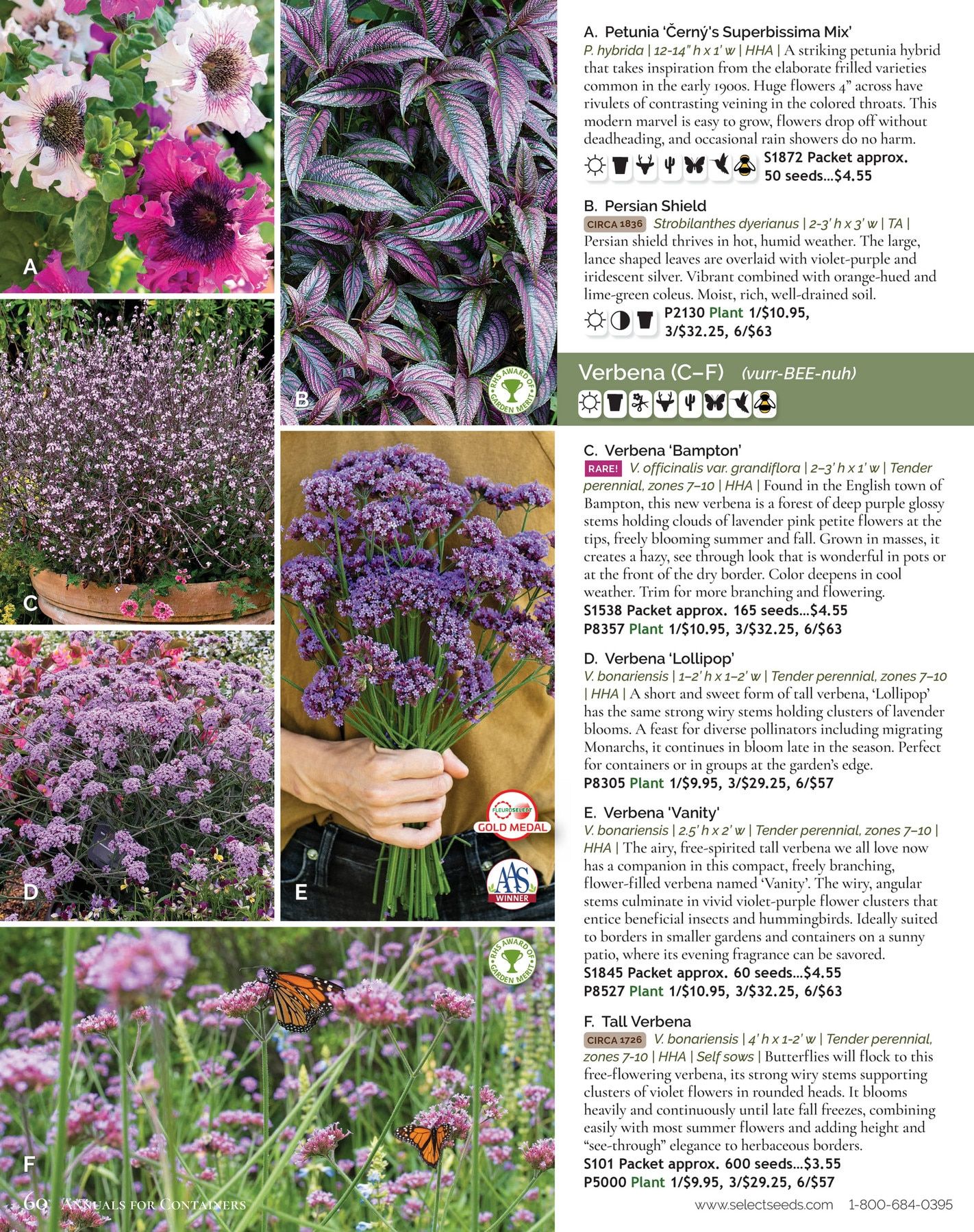 Select Seeds Annual Catalog Weekly Ad January 1 - December 31, 2026
