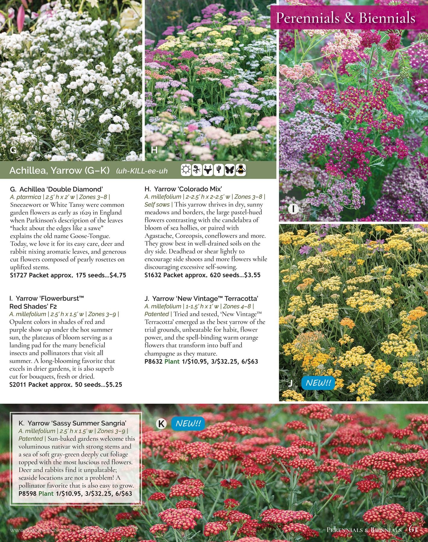 Select Seeds Annual Catalog Weekly Ad January 1 - December 31, 2026