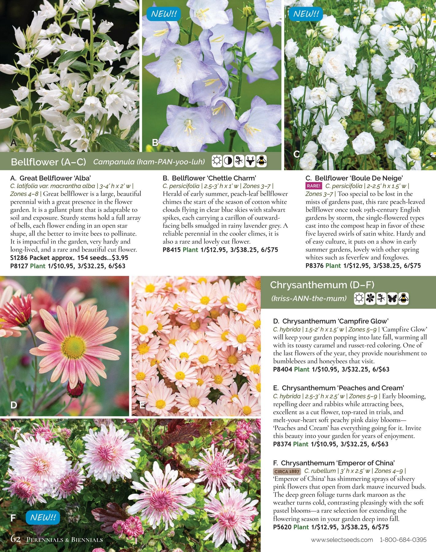 Select Seeds Annual Catalog Weekly Ad January 1 - December 31, 2026