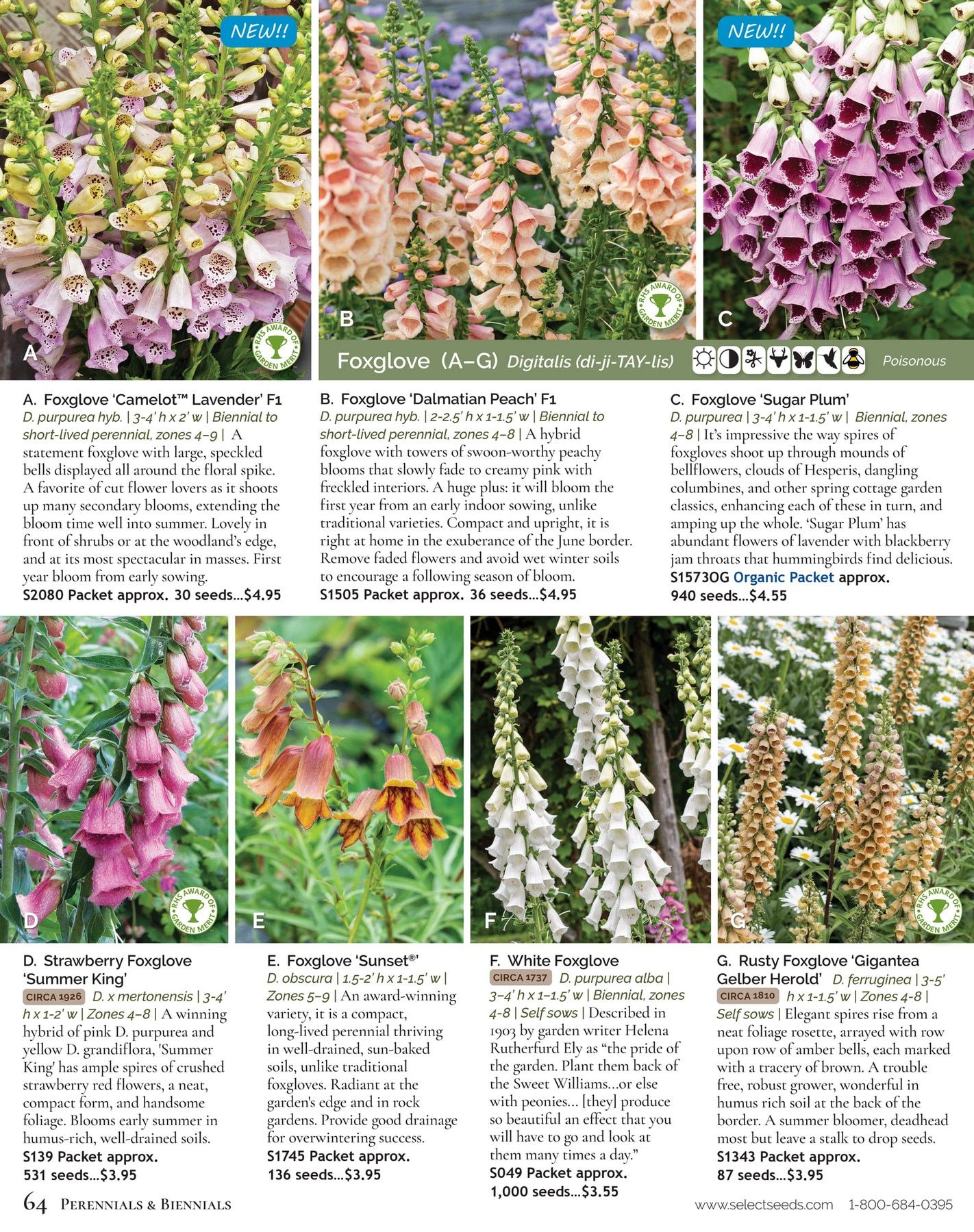 Select Seeds Annual Catalog Weekly Ad January 1 - December 31, 2026