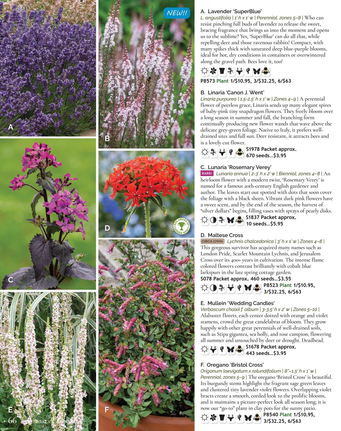 Select Seeds Annual Catalog Weekly Ad January 1 - December 31, 2026