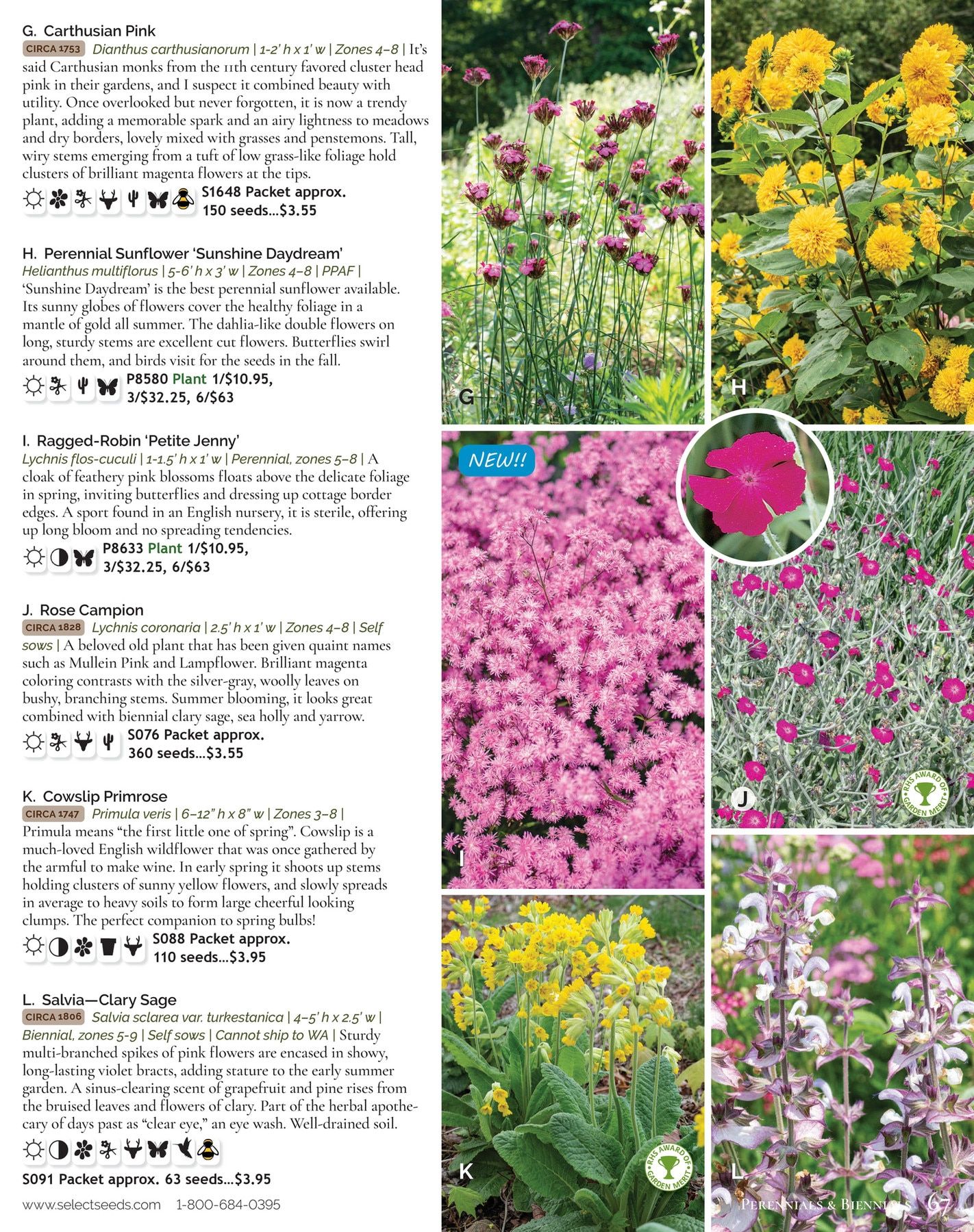 Select Seeds Annual Catalog Weekly Ad January 1 - December 31, 2026