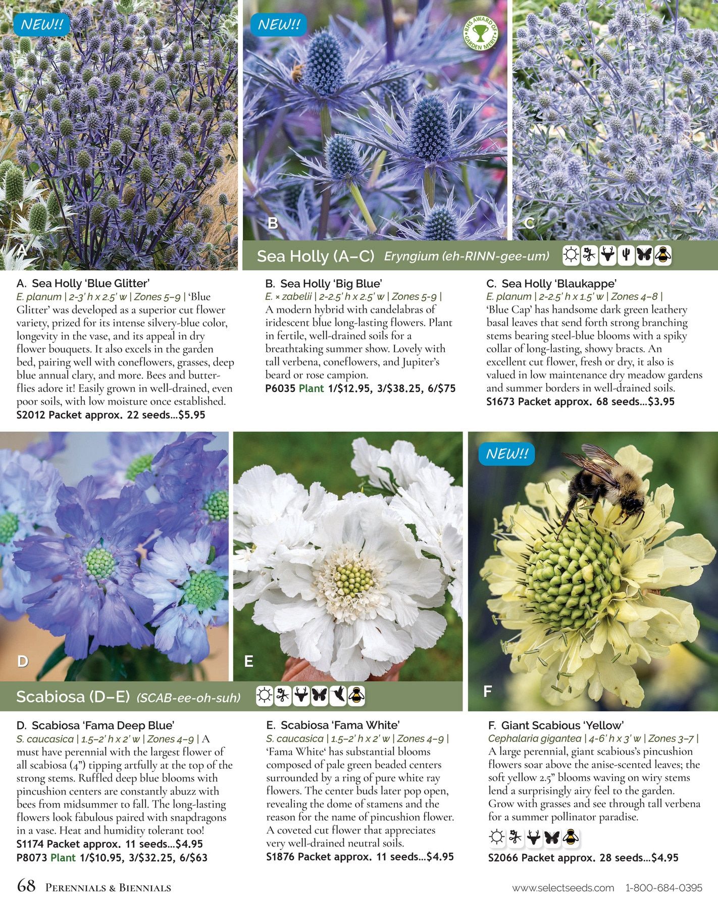 Select Seeds Annual Catalog Weekly Ad January 1 - December 31, 2026