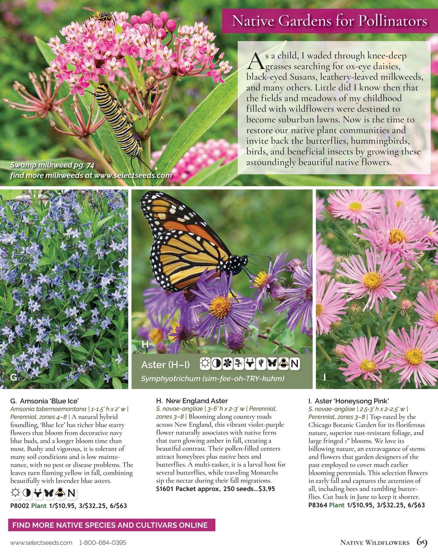 Select Seeds Annual Catalog Weekly Ad January 1 - December 31, 2026
