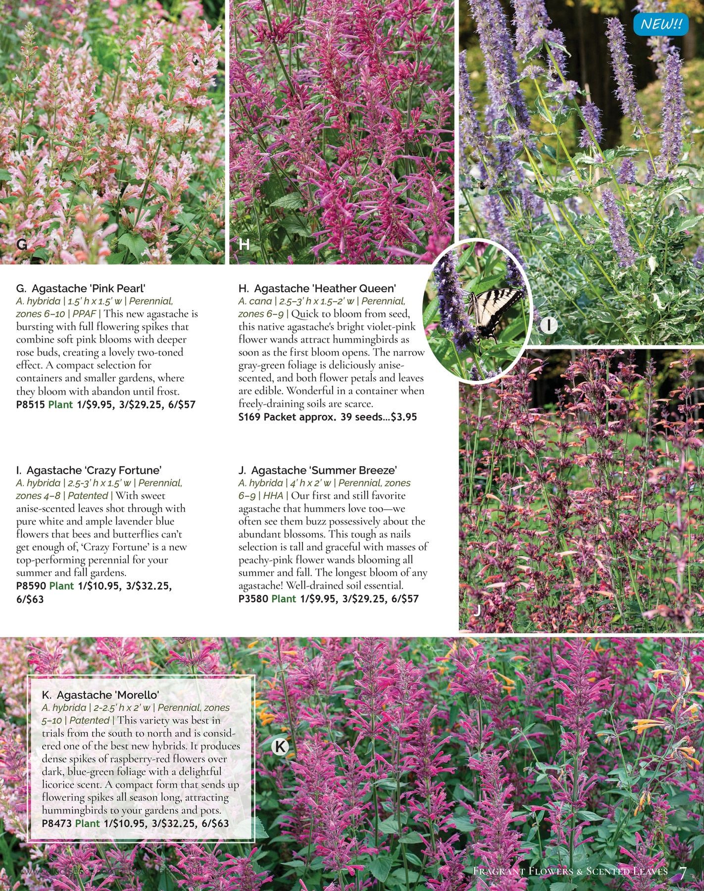Select Seeds Annual Catalog Weekly Ad January 1 - December 31, 2026