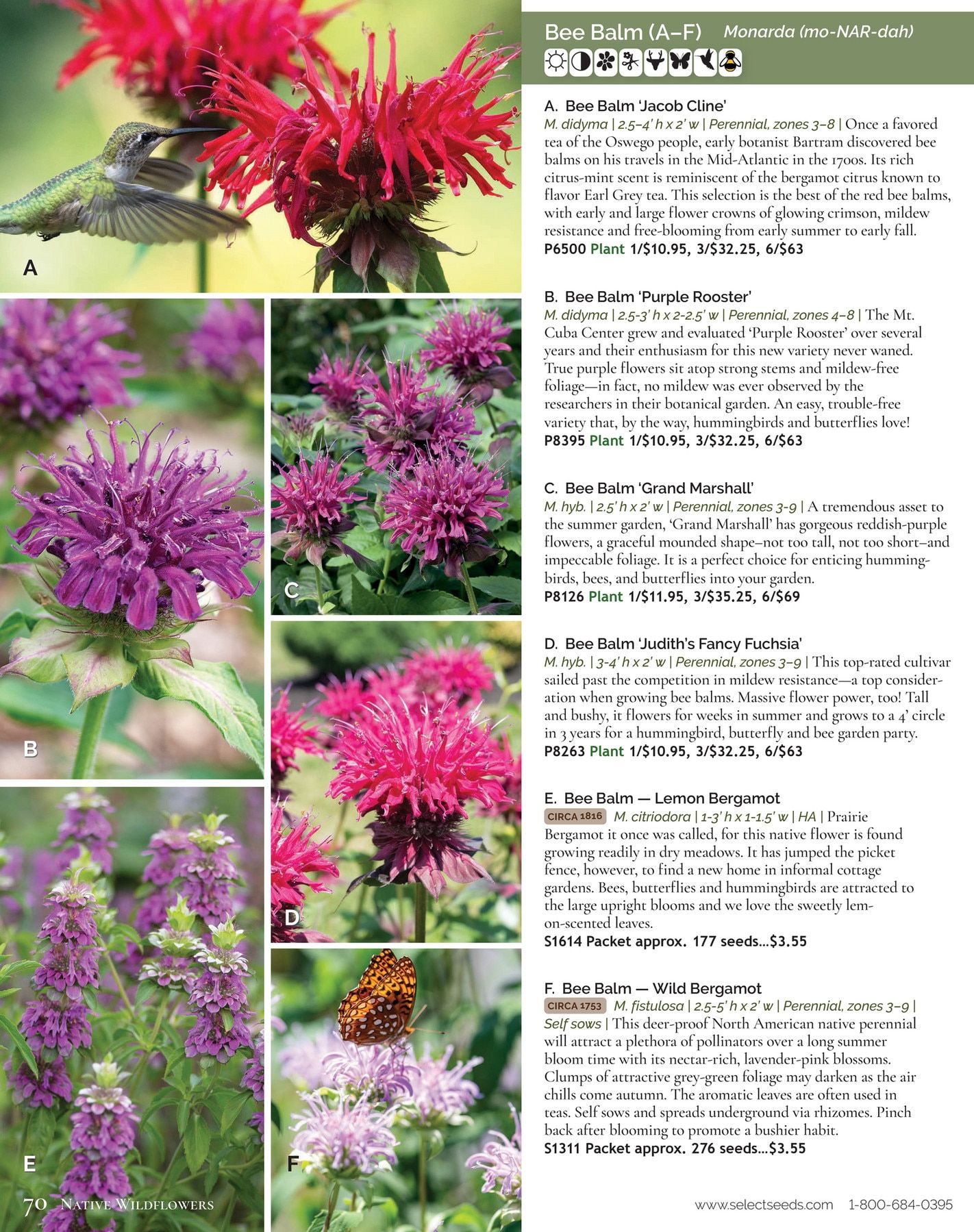 Select Seeds Annual Catalog Weekly Ad January 1 - December 31, 2026