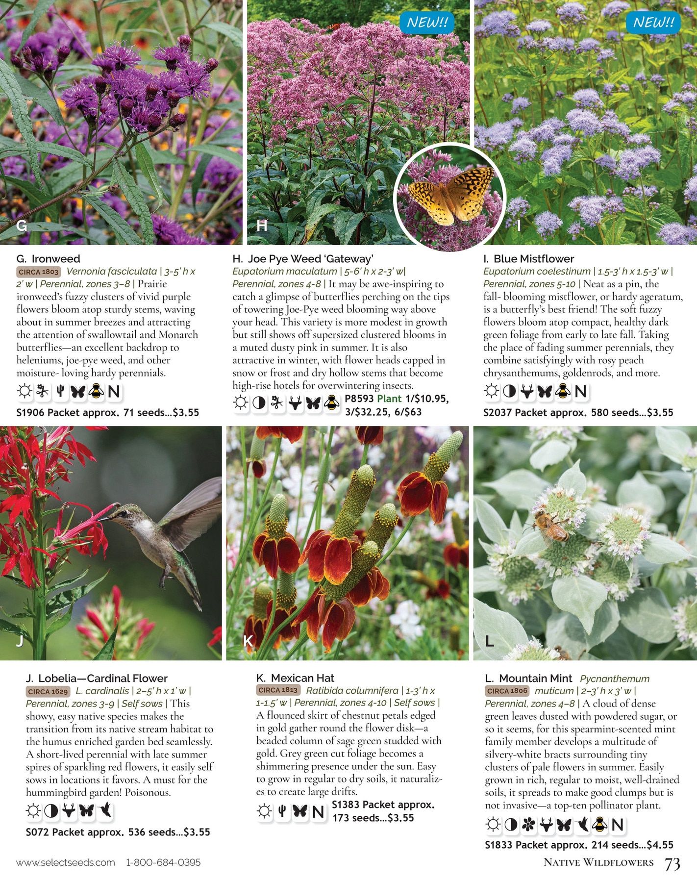 Select Seeds Annual Catalog Weekly Ad January 1 - December 31, 2026