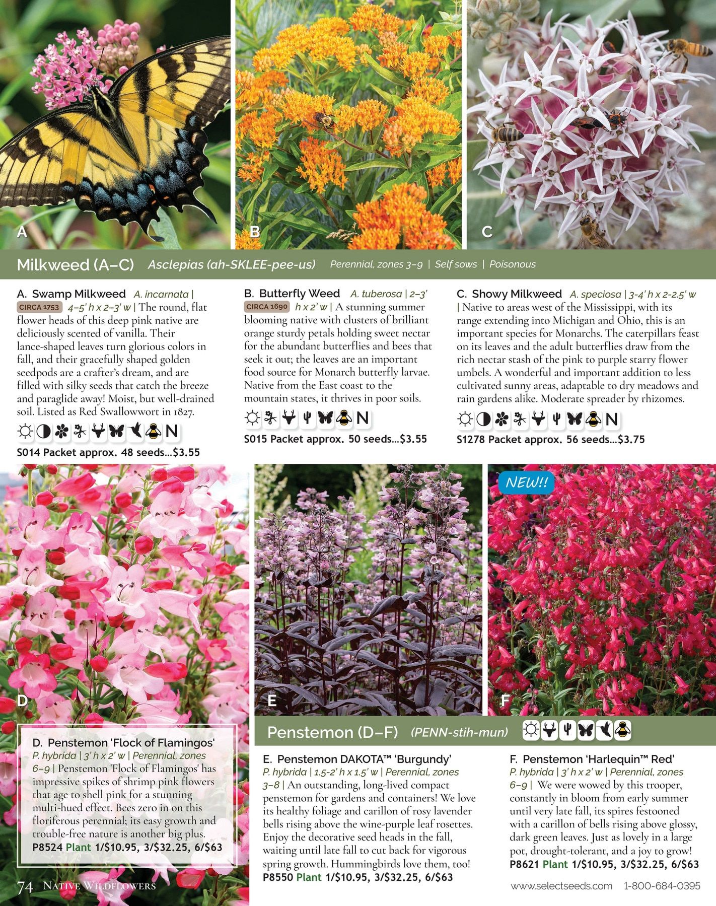 Select Seeds Annual Catalog Weekly Ad January 1 - December 31, 2026