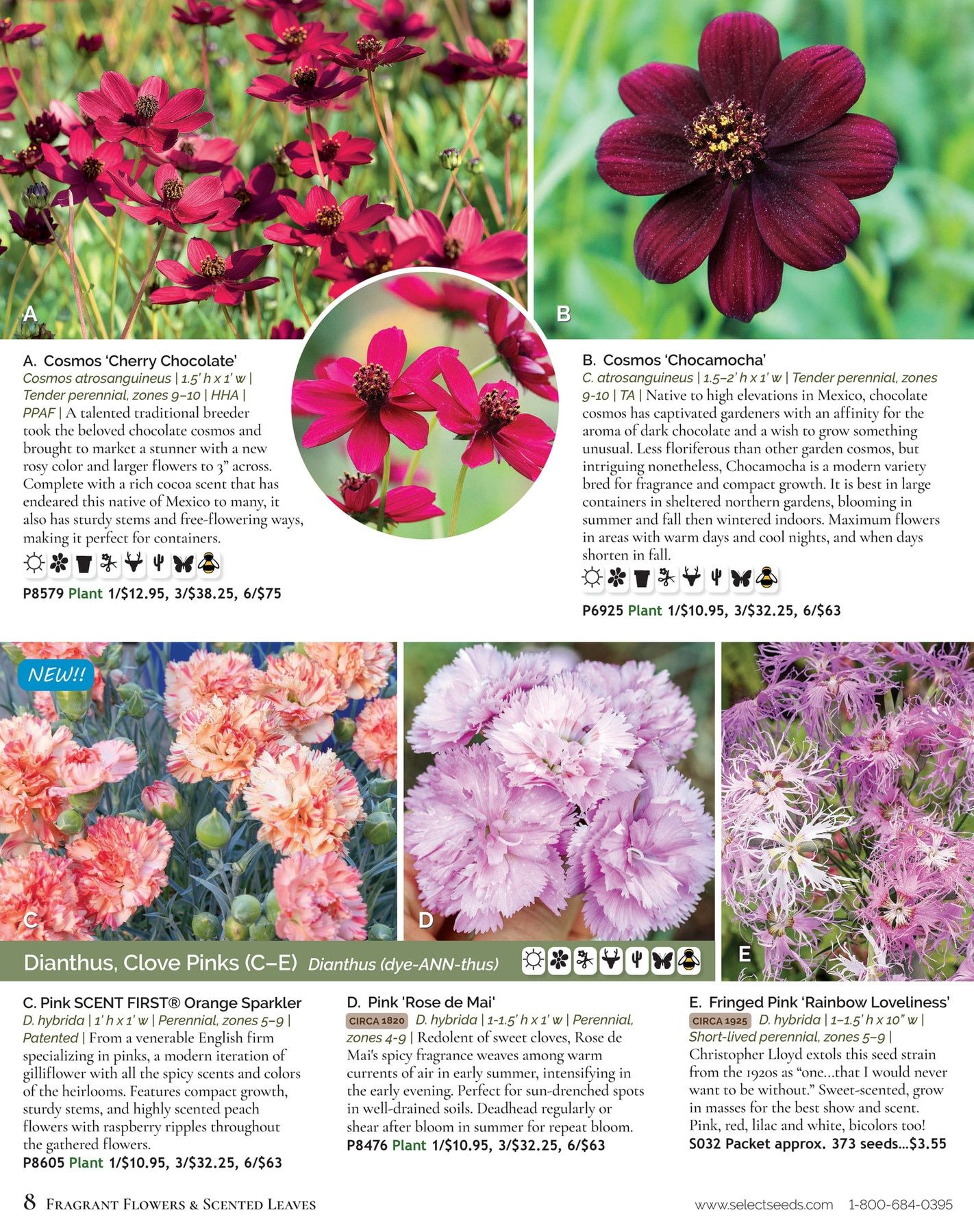 Select Seeds Annual Catalog Weekly Ad January 1 - December 31, 2026