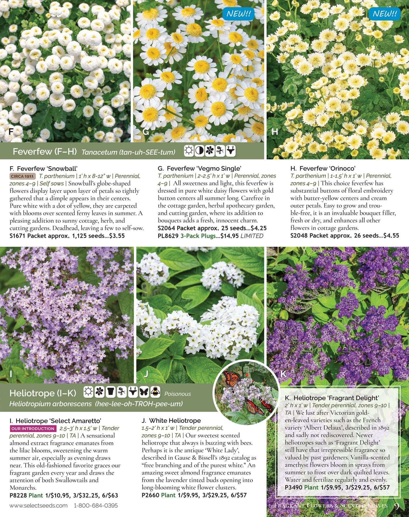 Select Seeds Annual Catalog Weekly Ad January 1 - December 31, 2026