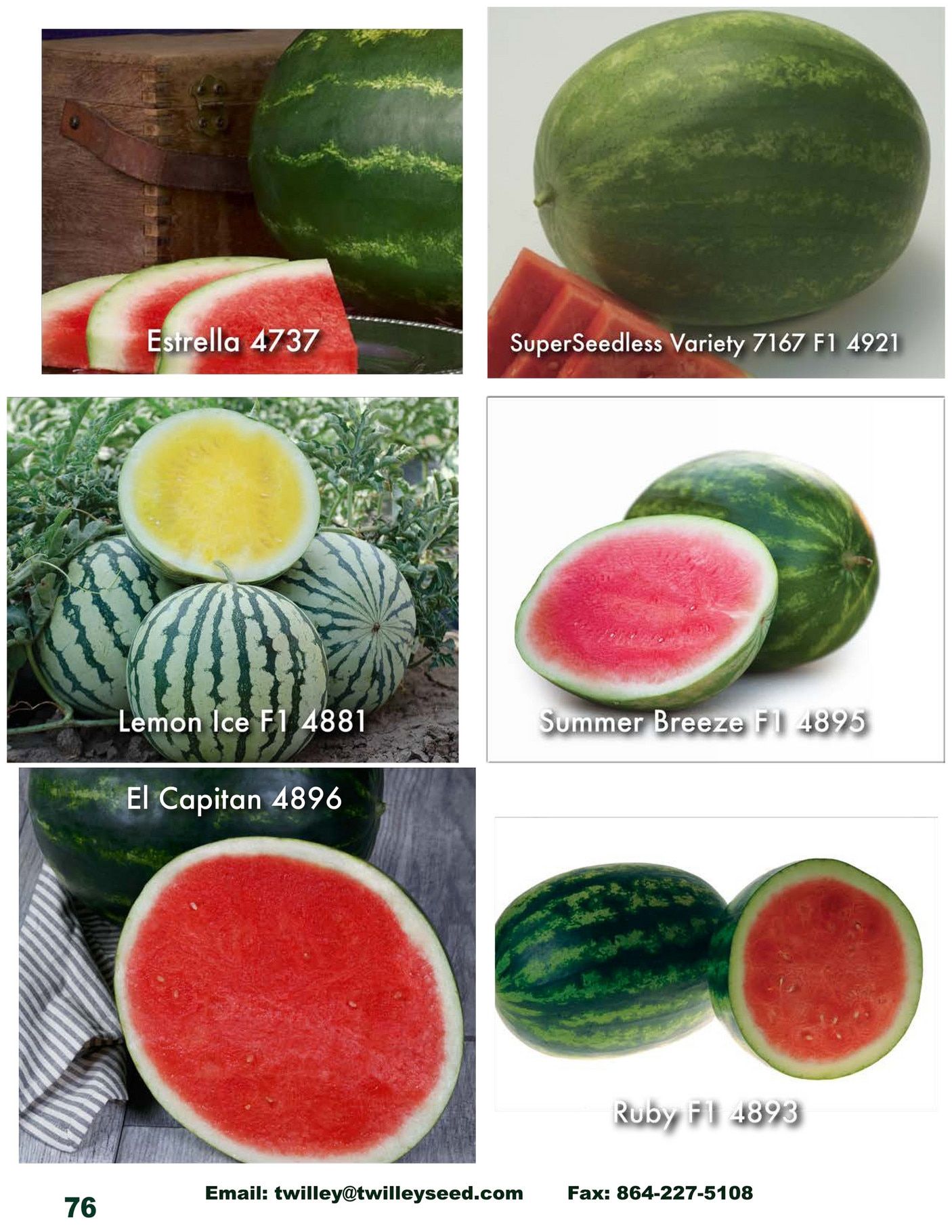 Twilley Seed Professional Seed Catalog Weekly Ad July 1, 2025 - December 31, 2026