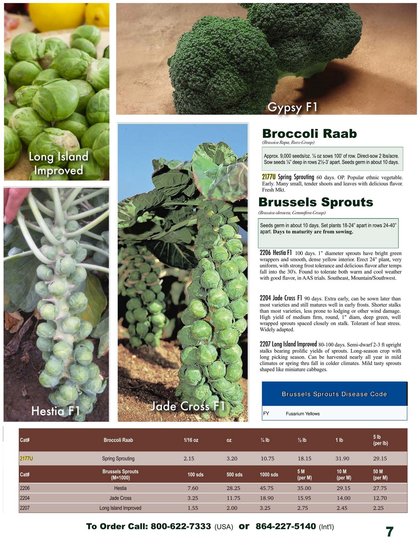 Twilley Seed Professional Seed Catalog Weekly Ad July 1, 2025 - December 31, 2026