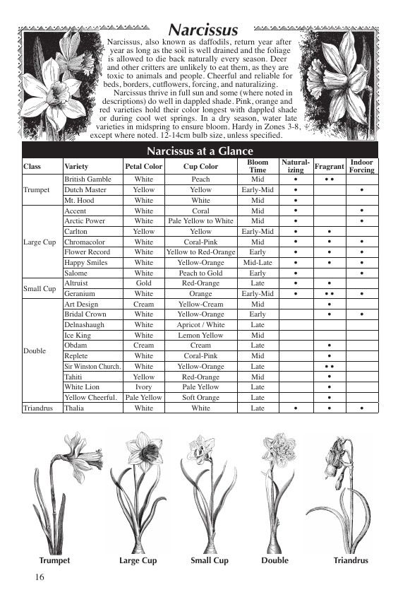 Fedco Seeds Bulbs Catalog Weekly Ad January 1 - December 31, 2026