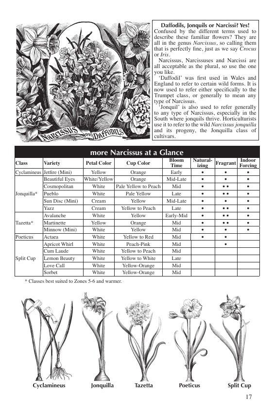Fedco Seeds Bulbs Catalog Weekly Ad January 1 - December 31, 2026
