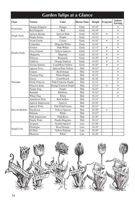 Fedco Seeds Bulbs Catalog Weekly Ad January 1 - December 31, 2026