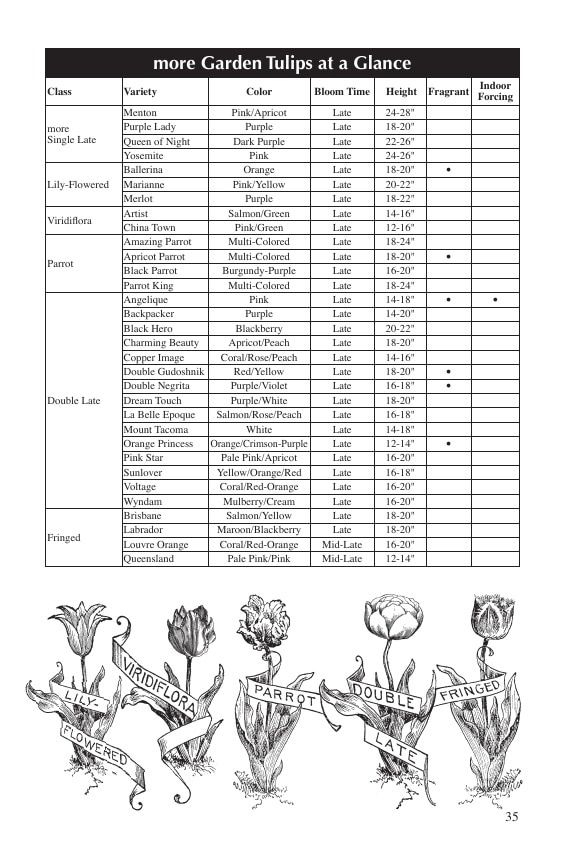 Fedco Seeds Bulbs Catalog Weekly Ad January 1 - December 31, 2026