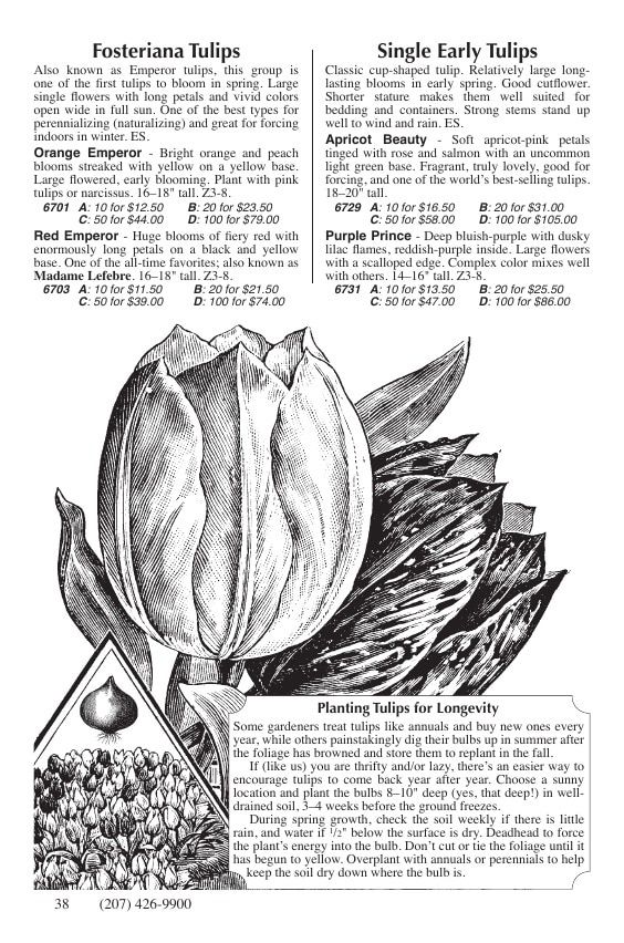 Fedco Seeds Bulbs Catalog Weekly Ad January 1 - December 31, 2026