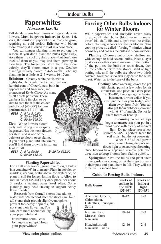 Fedco Seeds Bulbs Catalog Weekly Ad January 1 - December 31, 2026
