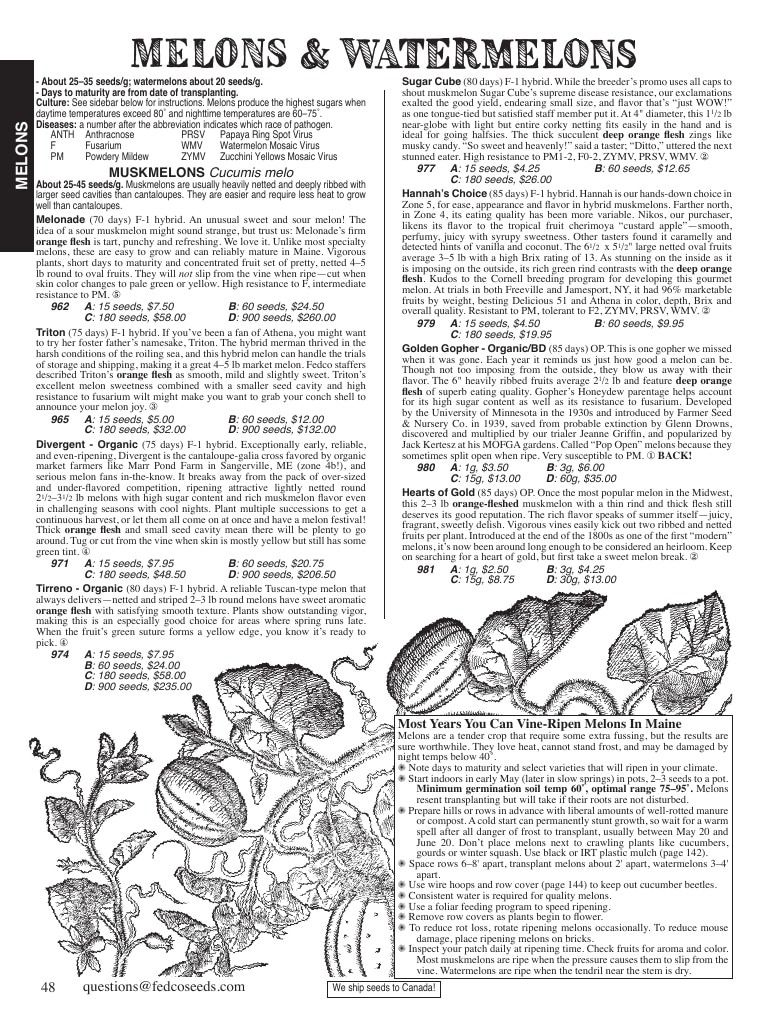 Fedco Seeds Seeds Catalog Weekly Ad January 1 - December 31, 2026