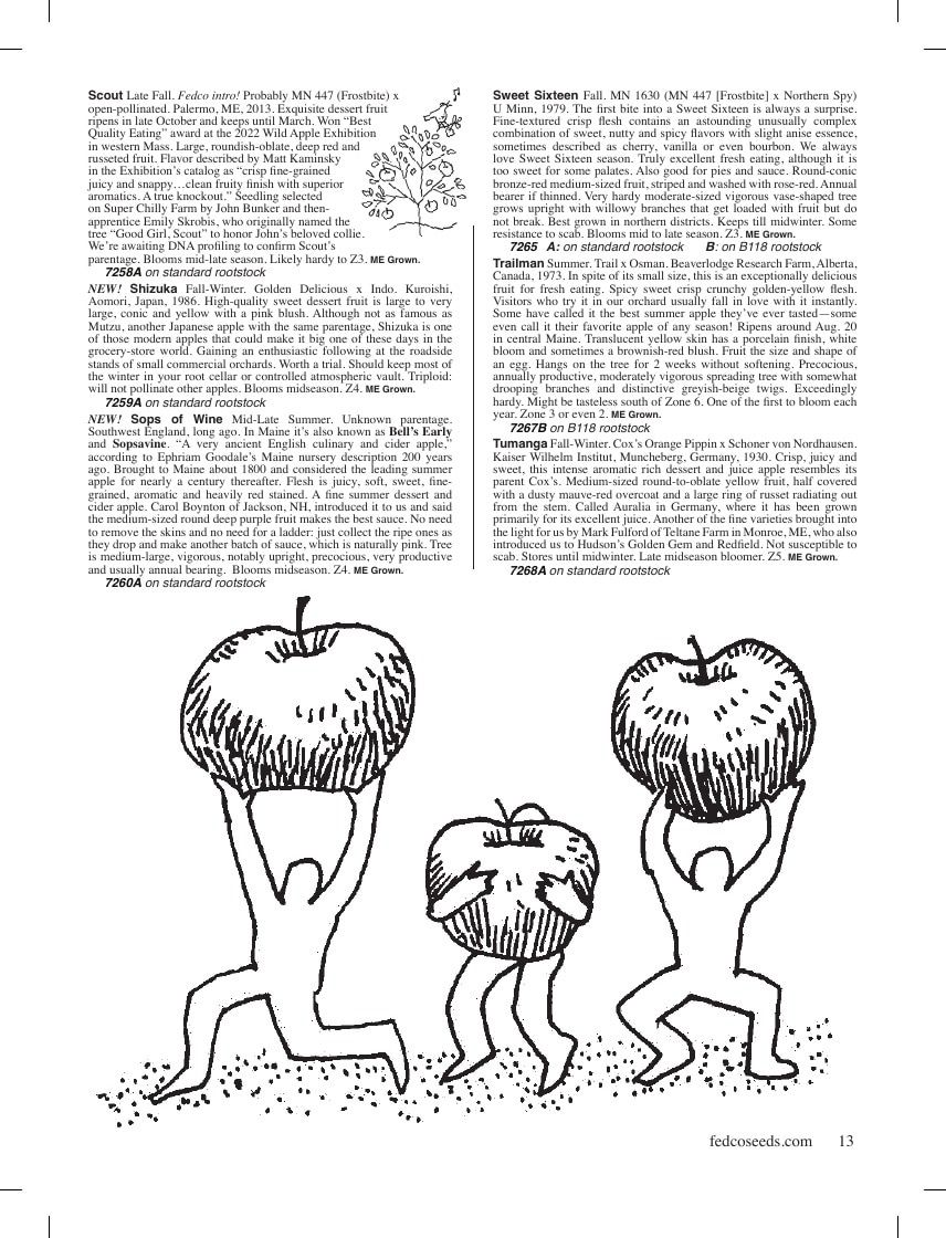 Fedco Seeds Trees Catalog Weekly Ad January 1 - December 31, 2026