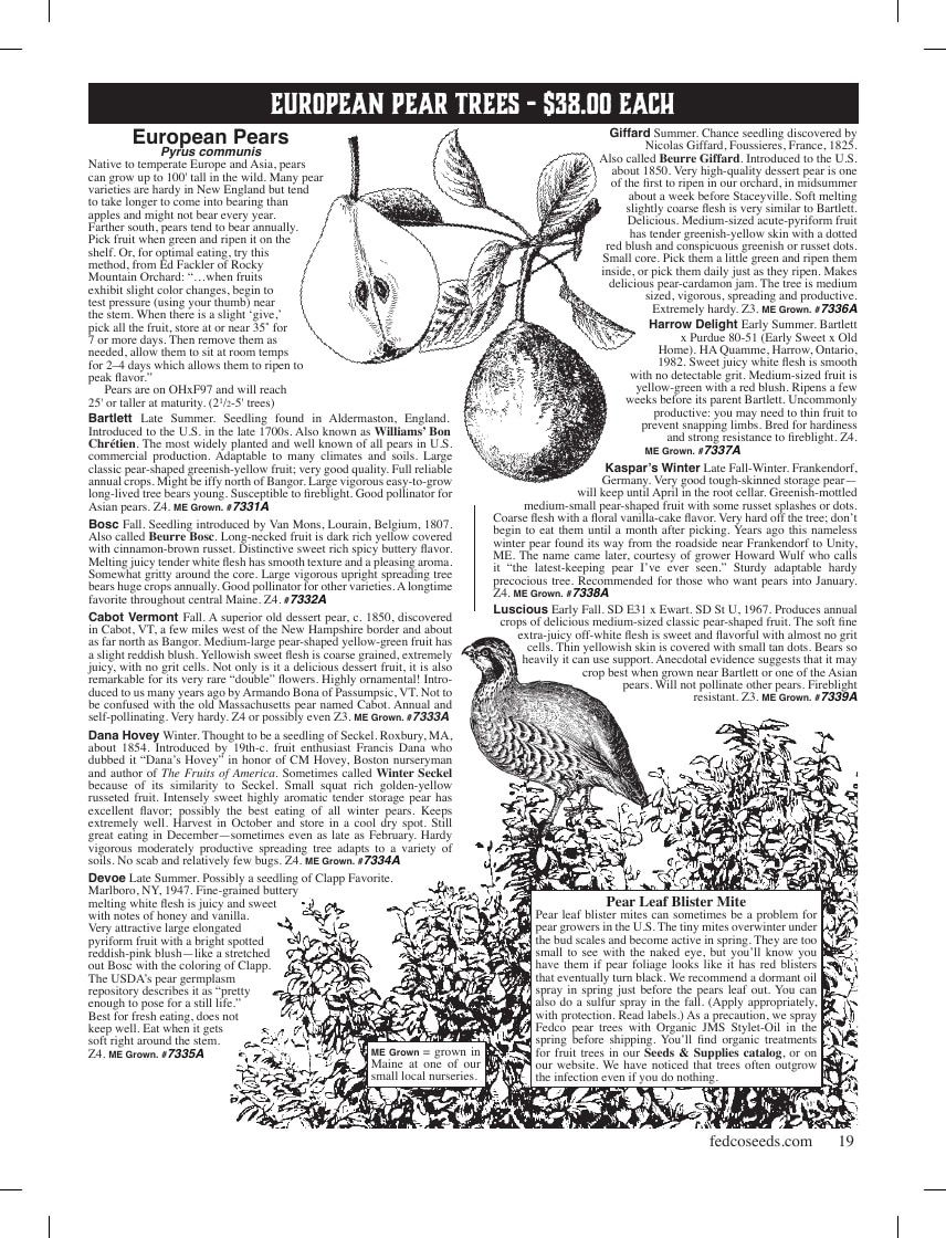 Fedco Seeds Trees Catalog Weekly Ad January 1 - December 31, 2026