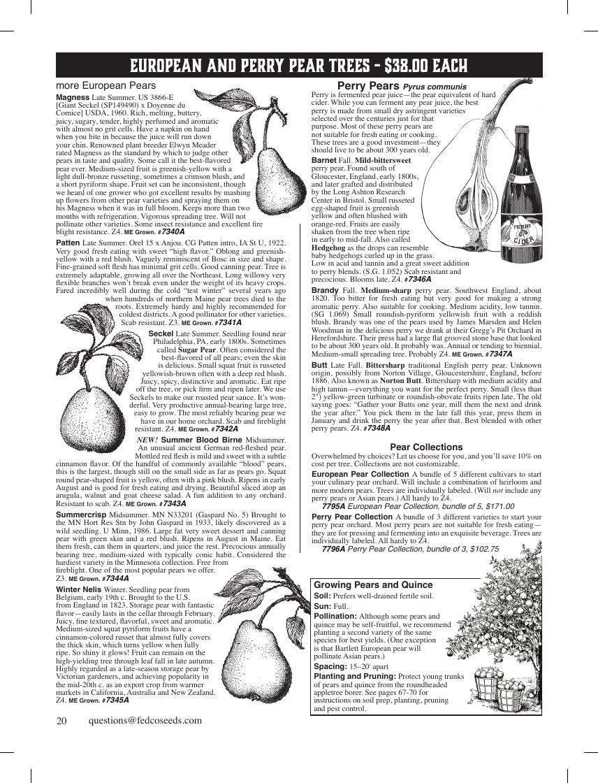 Fedco Seeds Trees Catalog Weekly Ad January 1 - December 31, 2026