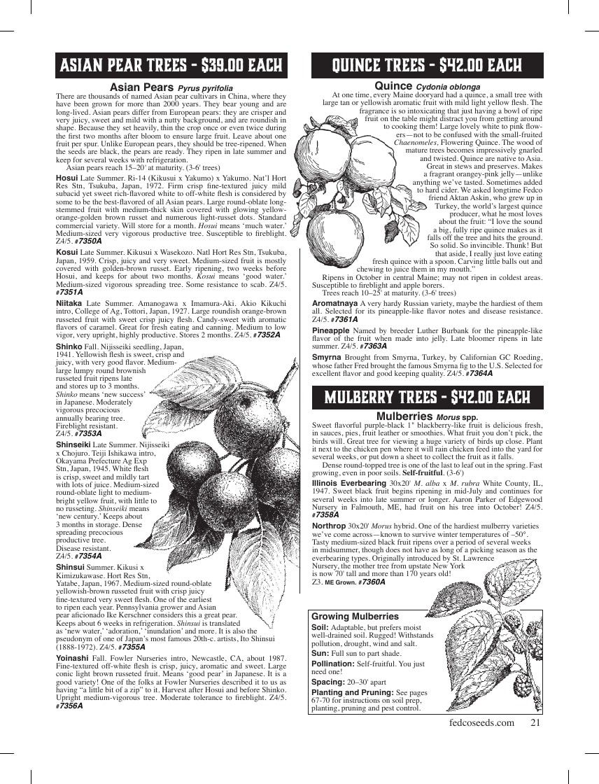 Fedco Seeds Trees Catalog Weekly Ad January 1 - December 31, 2026