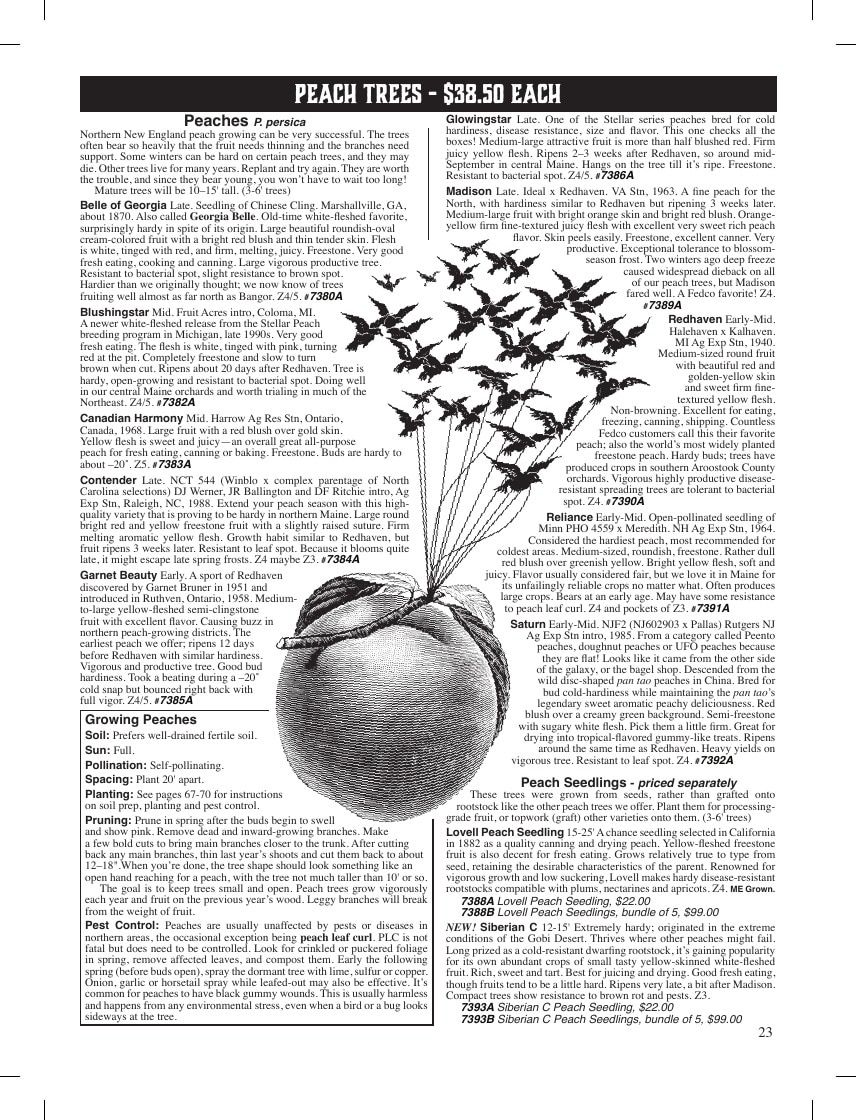 Fedco Seeds Trees Catalog Weekly Ad January 1 - December 31, 2026