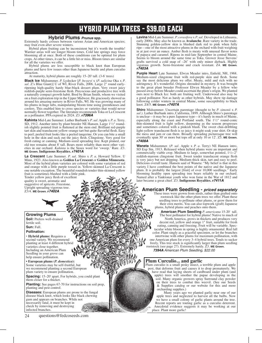 Fedco Seeds Trees Catalog Weekly Ad January 1 - December 31, 2026