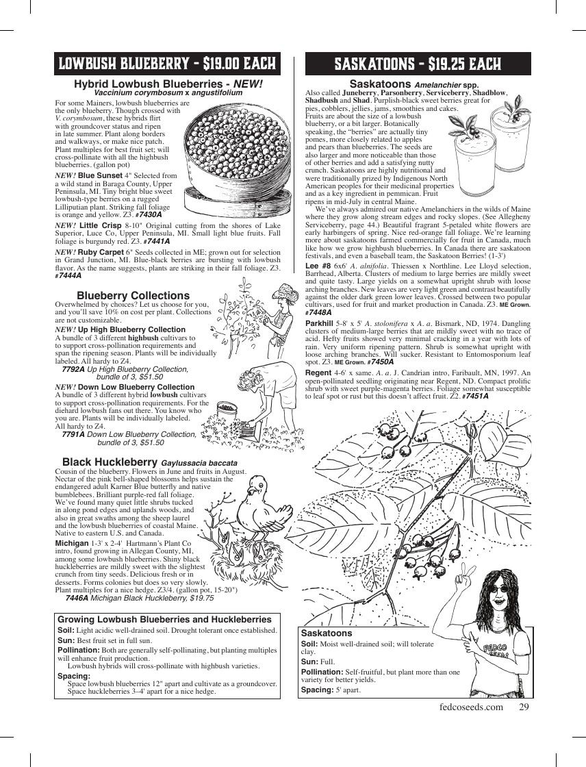 Fedco Seeds Trees Catalog Weekly Ad January 1 - December 31, 2026