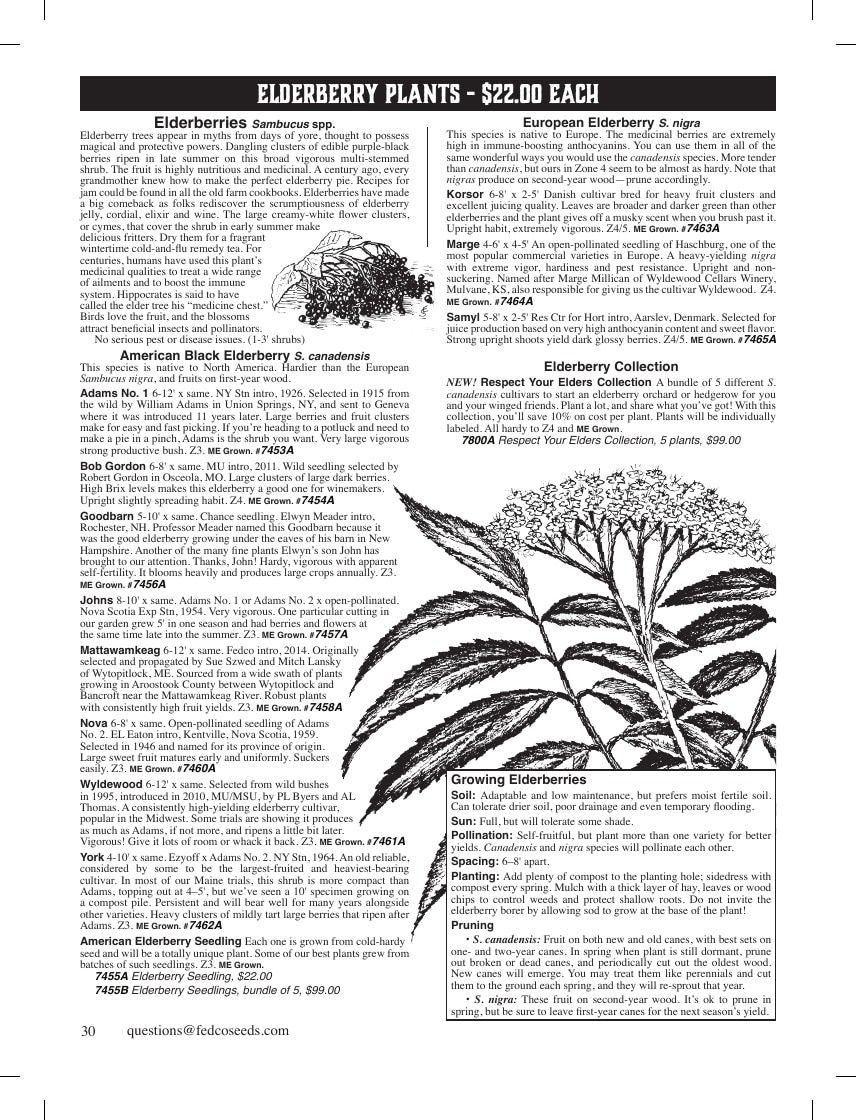 Fedco Seeds Trees Catalog Weekly Ad January 1 - December 31, 2026
