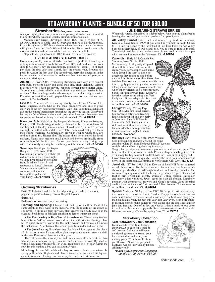 Fedco Seeds Trees Catalog Weekly Ad January 1 - December 31, 2026