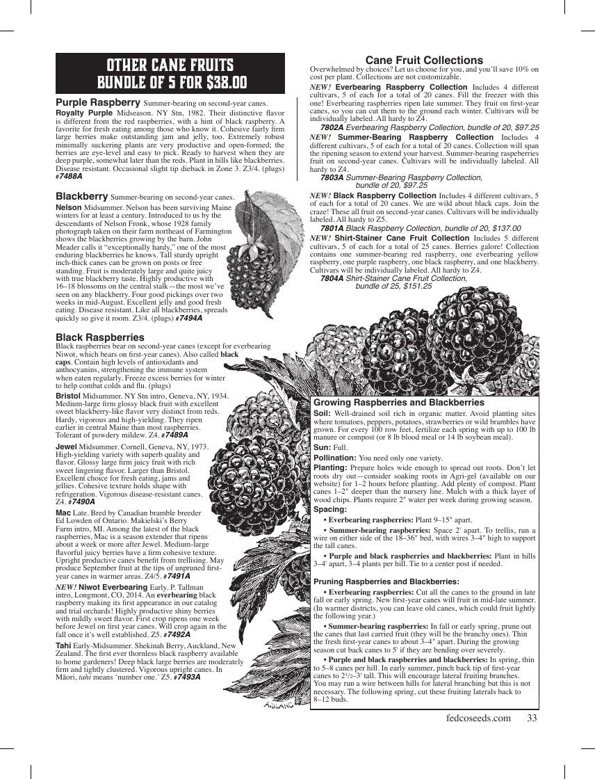 Fedco Seeds Trees Catalog Weekly Ad January 1 - December 31, 2026