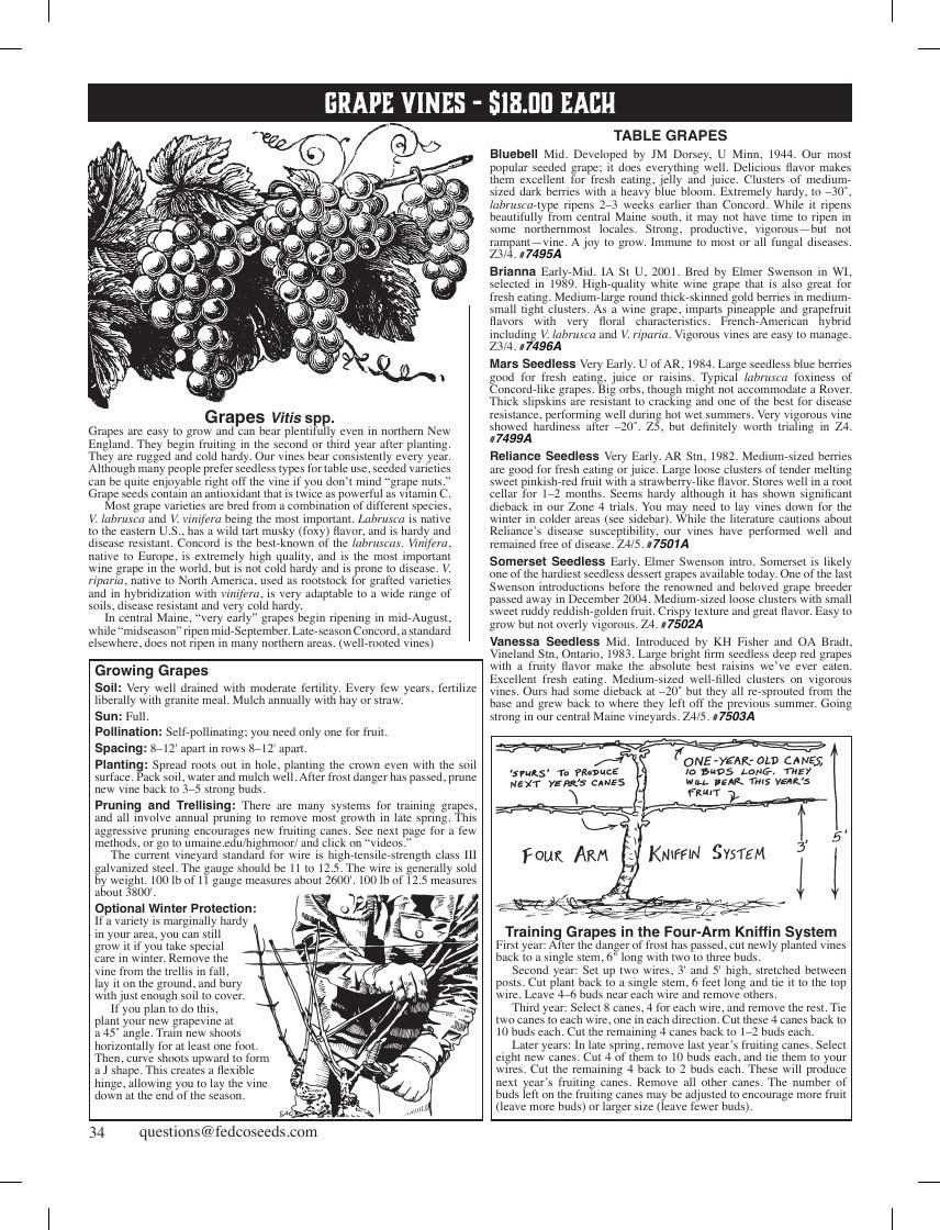 Fedco Seeds Trees Catalog Weekly Ad January 1 - December 31, 2026