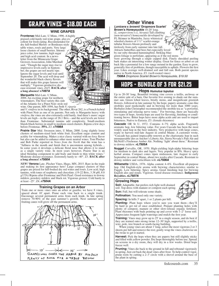 Fedco Seeds Trees Catalog Weekly Ad January 1 - December 31, 2026
