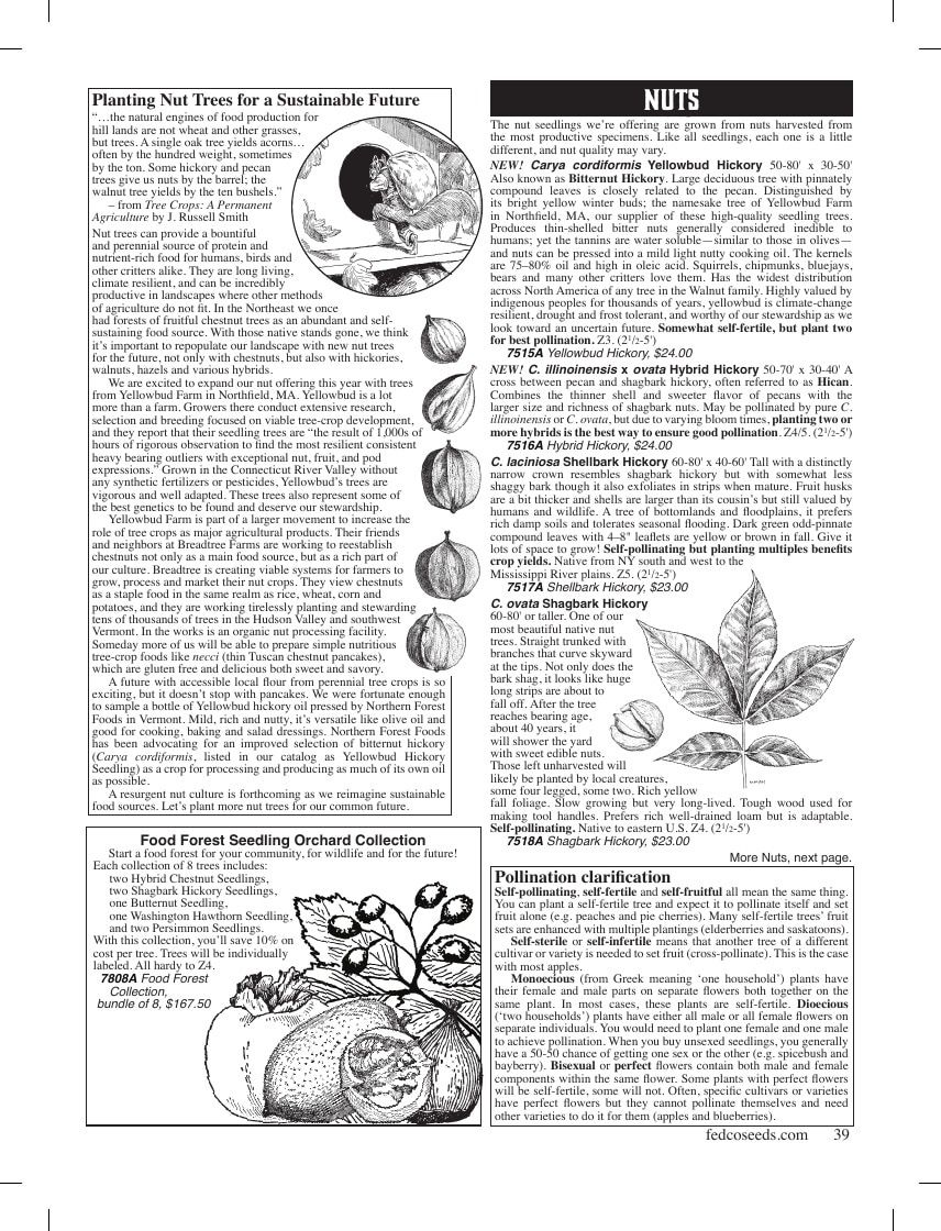 Fedco Seeds Trees Catalog Weekly Ad January 1 - December 31, 2026