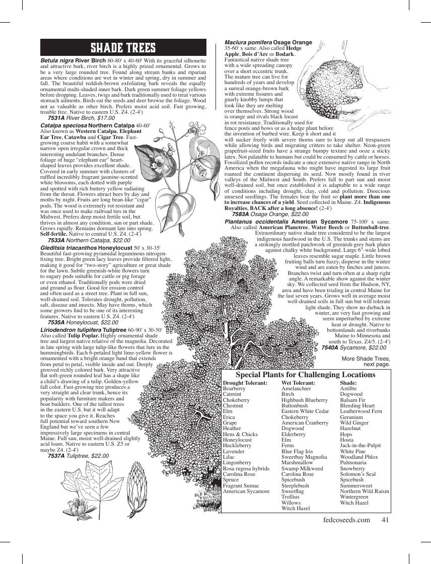 Fedco Seeds Trees Catalog Weekly Ad January 1 - December 31, 2026