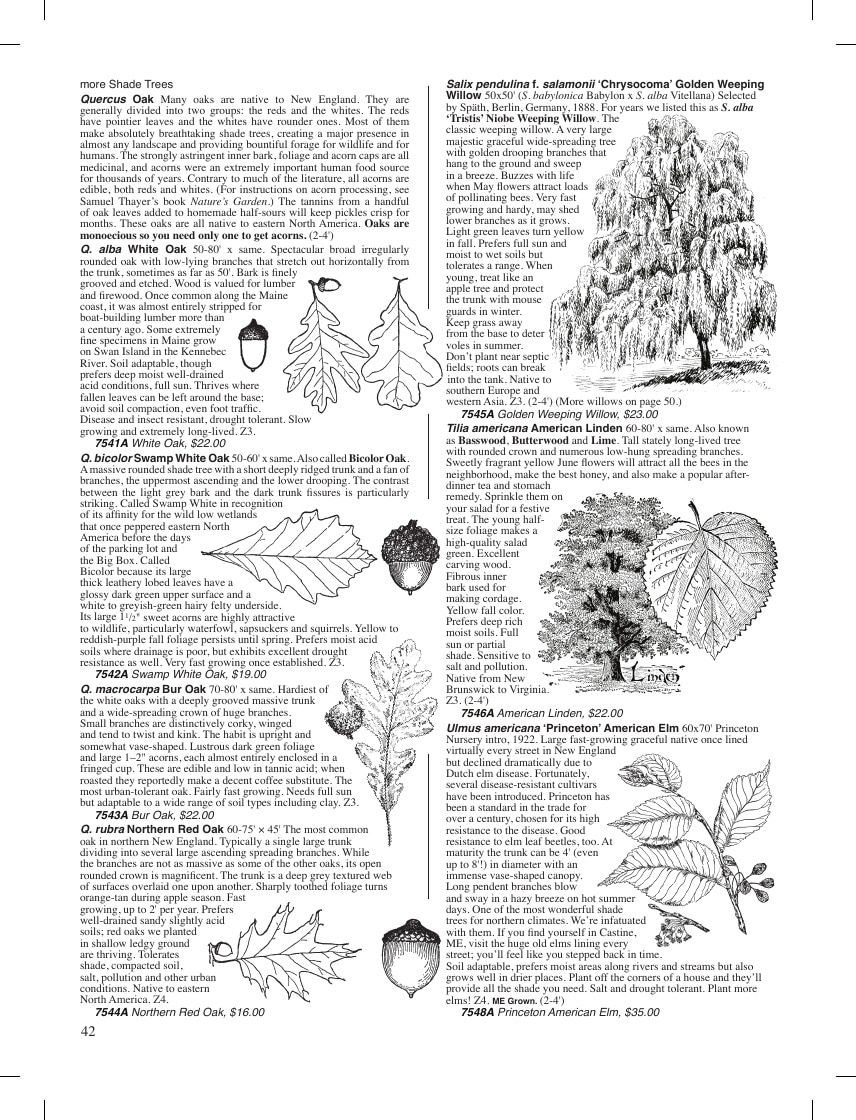 Fedco Seeds Trees Catalog Weekly Ad January 1 - December 31, 2026