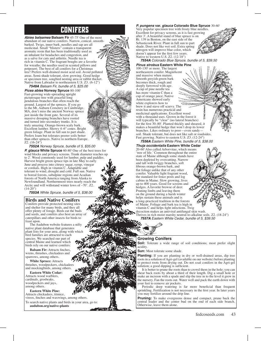 Fedco Seeds Trees Catalog Weekly Ad January 1 - December 31, 2026