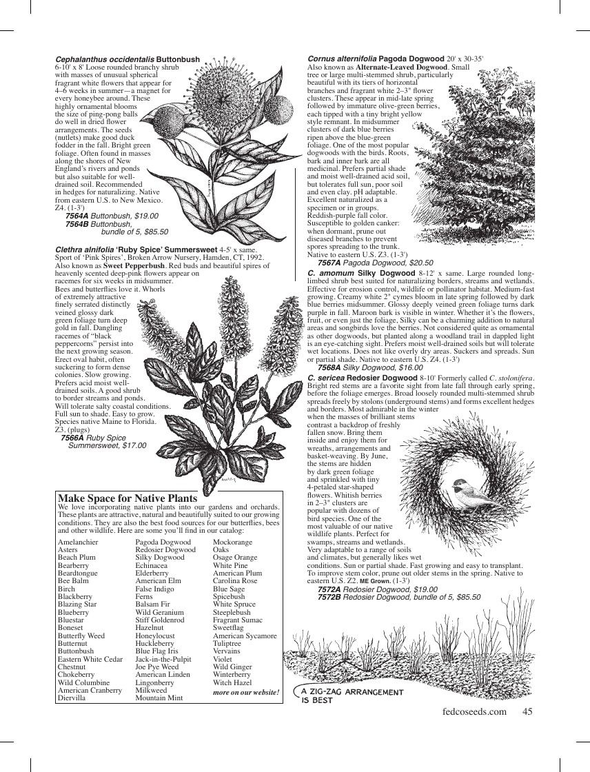 Fedco Seeds Trees Catalog Weekly Ad January 1 - December 31, 2026
