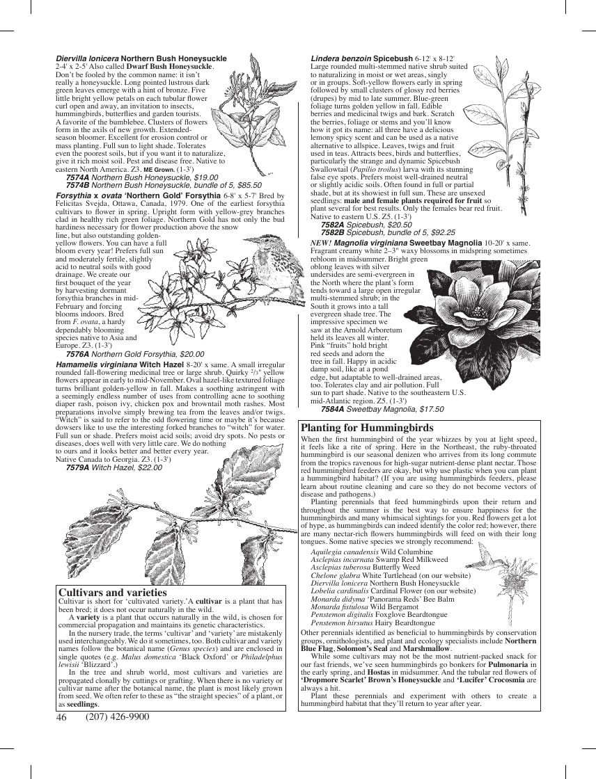 Fedco Seeds Trees Catalog Weekly Ad January 1 - December 31, 2026