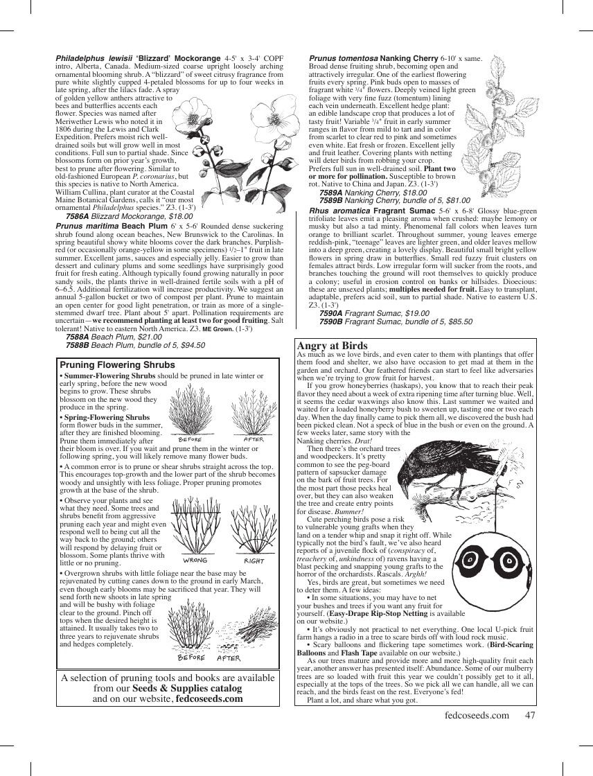 Fedco Seeds Trees Catalog Weekly Ad January 1 - December 31, 2026
