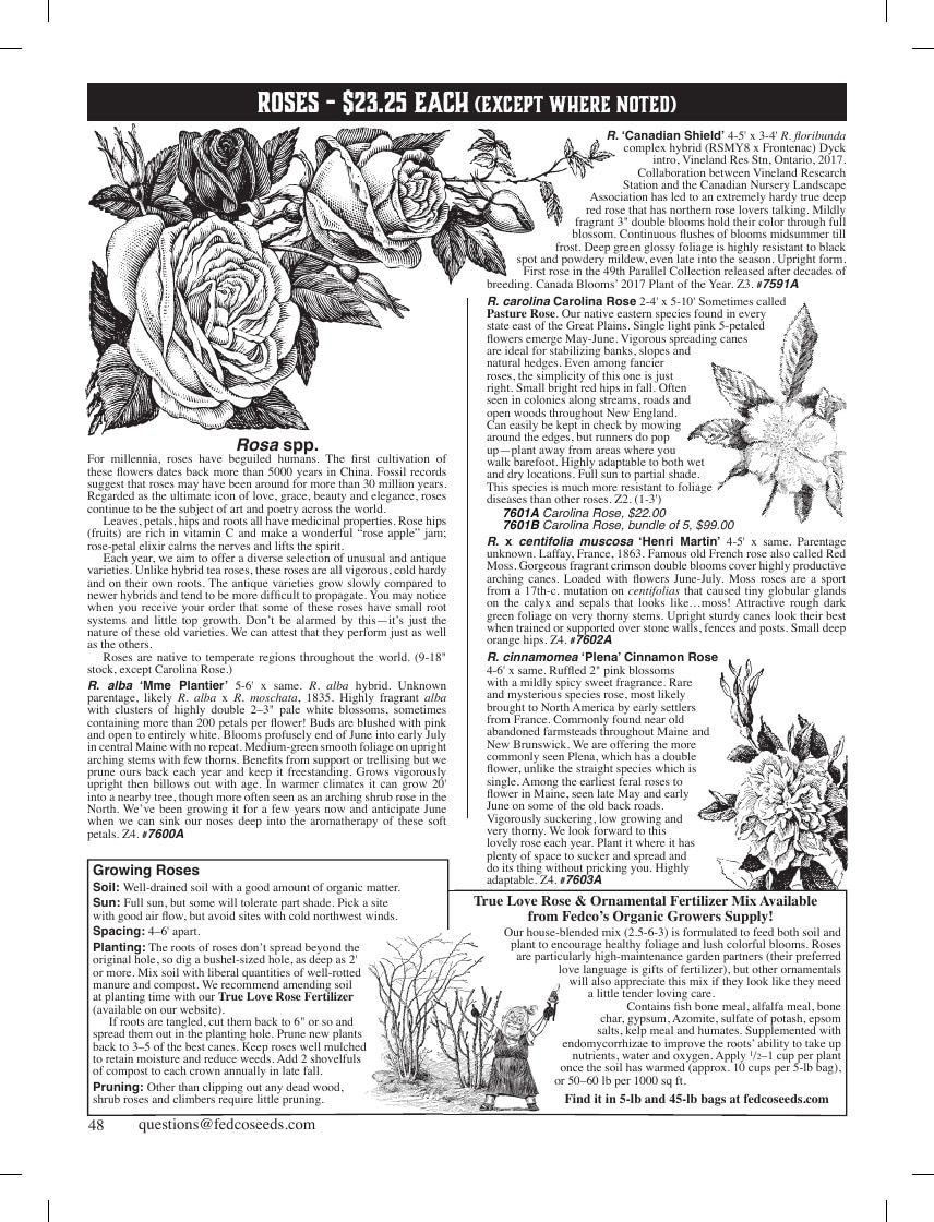 Fedco Seeds Trees Catalog Weekly Ad January 1 - December 31, 2026